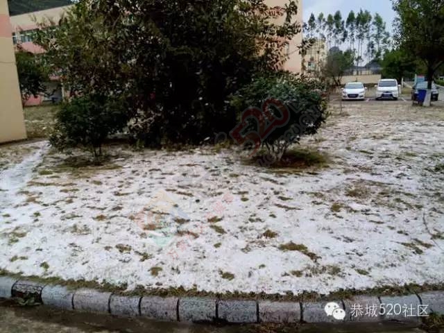 【雪景图集】恭城各地银装素裹，美得不要不要滴~~860 / 作者:深秋的落叶 / 帖子ID:162737