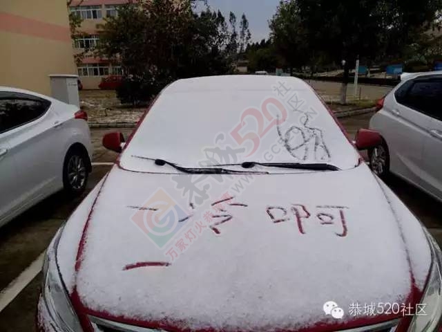 【雪景图集】恭城各地银装素裹，美得不要不要滴~~13 / 作者:深秋的落叶 / 帖子ID:162737