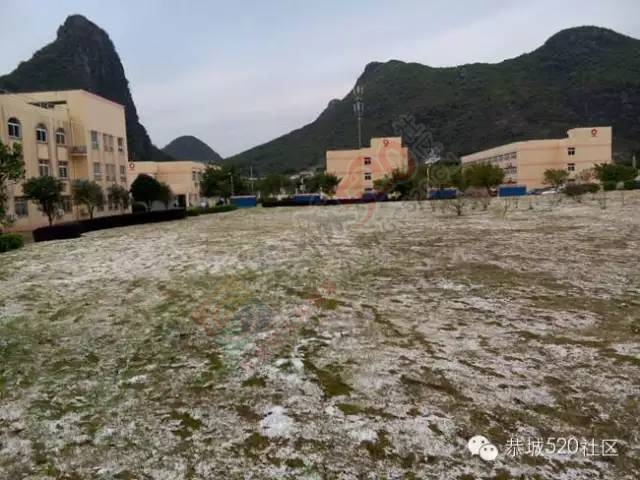 【雪景图集】恭城各地银装素裹，美得不要不要滴~~918 / 作者:深秋的落叶 / 帖子ID:162737