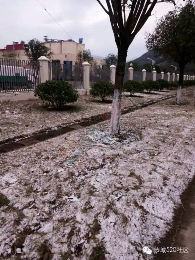 【雪景图集】恭城各地银装素裹，美得不要不要滴~~73 / 作者:深秋的落叶 / 帖子ID:162737
