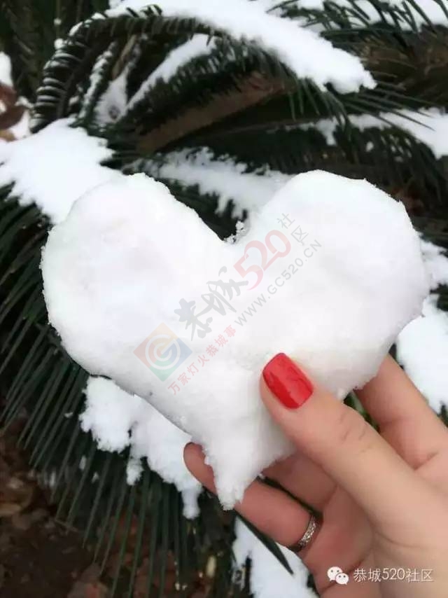 【雪景图集】恭城各地银装素裹，美得不要不要滴~~137 / 作者:深秋的落叶 / 帖子ID:162737