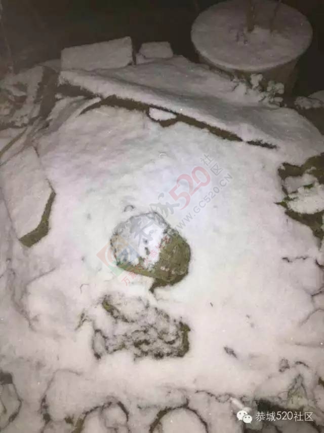【雪景图集】恭城各地银装素裹，美得不要不要滴~~177 / 作者:深秋的落叶 / 帖子ID:162737