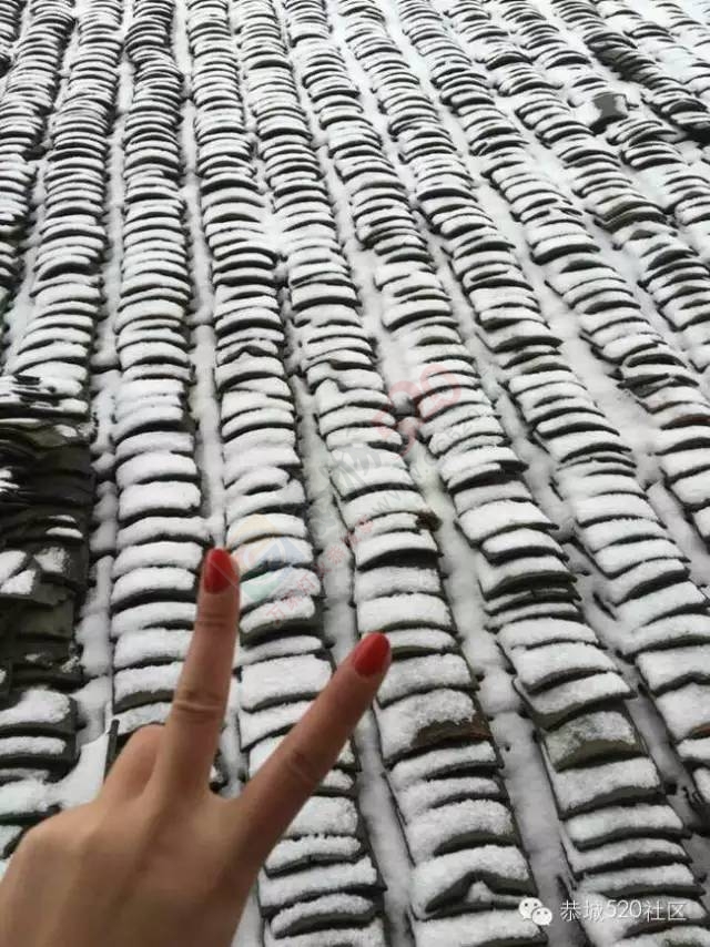 【雪景图集】恭城各地银装素裹，美得不要不要滴~~76 / 作者:深秋的落叶 / 帖子ID:162737
