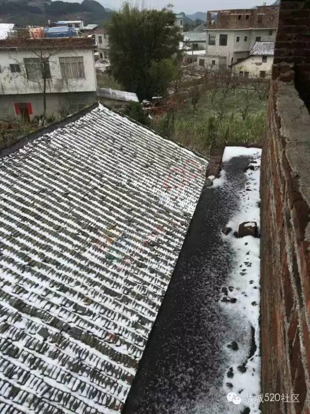 【雪景图集】恭城各地银装素裹，美得不要不要滴~~412 / 作者:深秋的落叶 / 帖子ID:162737