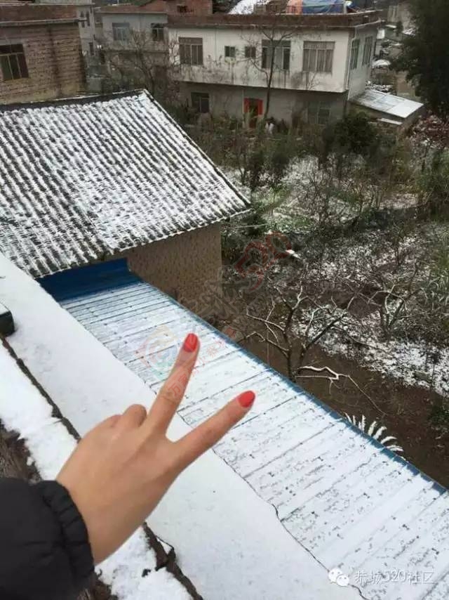 【雪景图集】恭城各地银装素裹，美得不要不要滴~~553 / 作者:深秋的落叶 / 帖子ID:162737