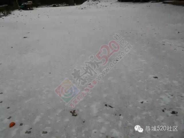 【雪景图集】恭城各地银装素裹，美得不要不要滴~~591 / 作者:深秋的落叶 / 帖子ID:162737
