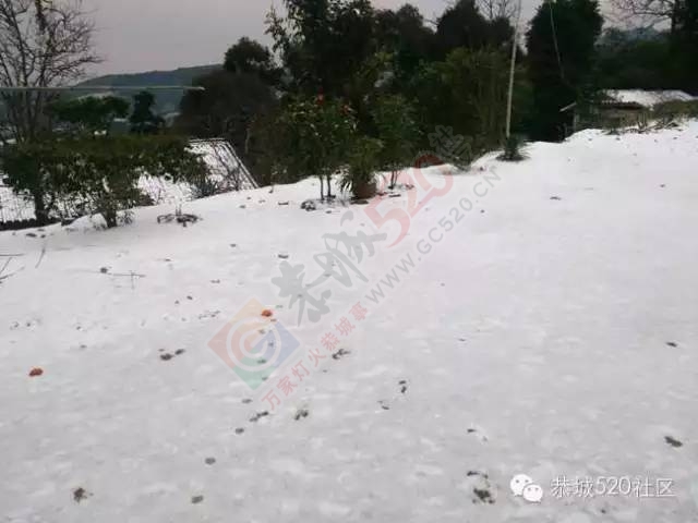 【雪景图集】恭城各地银装素裹，美得不要不要滴~~877 / 作者:深秋的落叶 / 帖子ID:162737