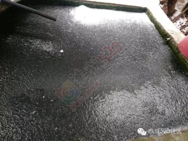 【雪景图集】恭城各地银装素裹，美得不要不要滴~~647 / 作者:深秋的落叶 / 帖子ID:162737