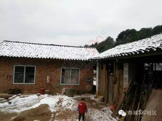 【雪景图集】恭城各地银装素裹，美得不要不要滴~~673 / 作者:深秋的落叶 / 帖子ID:162737