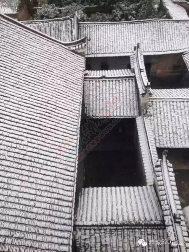 【雪景图集】恭城各地银装素裹，美得不要不要滴~~379 / 作者:深秋的落叶 / 帖子ID:162737