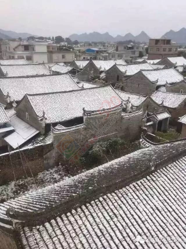 【雪景图集】恭城各地银装素裹，美得不要不要滴~~644 / 作者:深秋的落叶 / 帖子ID:162737