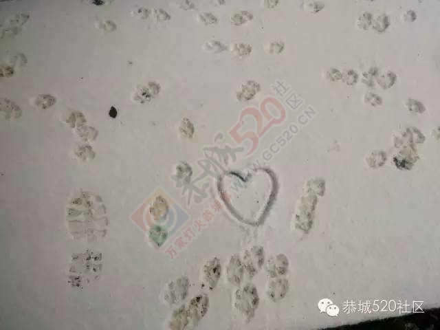 【雪景图集】恭城各地银装素裹，美得不要不要滴~~642 / 作者:深秋的落叶 / 帖子ID:162737