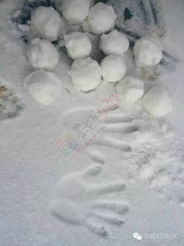 【雪景图集】恭城各地银装素裹，美得不要不要滴~~526 / 作者:深秋的落叶 / 帖子ID:162737