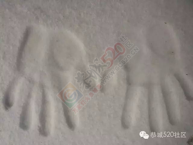 【雪景图集】恭城各地银装素裹，美得不要不要滴~~695 / 作者:深秋的落叶 / 帖子ID:162737