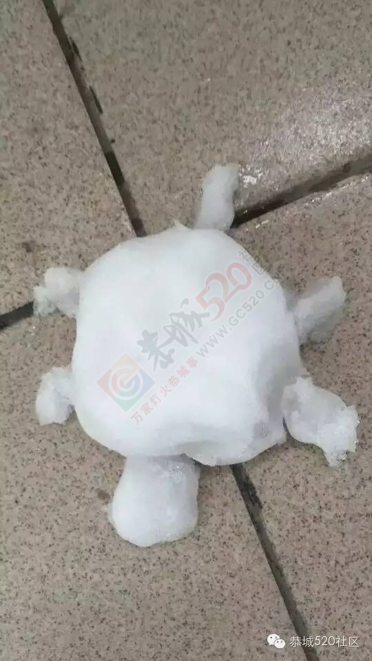 【雪景图集】恭城各地银装素裹，美得不要不要滴~~480 / 作者:深秋的落叶 / 帖子ID:162737
