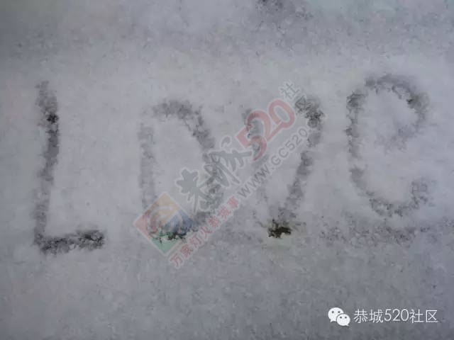 【雪景图集】恭城各地银装素裹，美得不要不要滴~~85 / 作者:深秋的落叶 / 帖子ID:162737