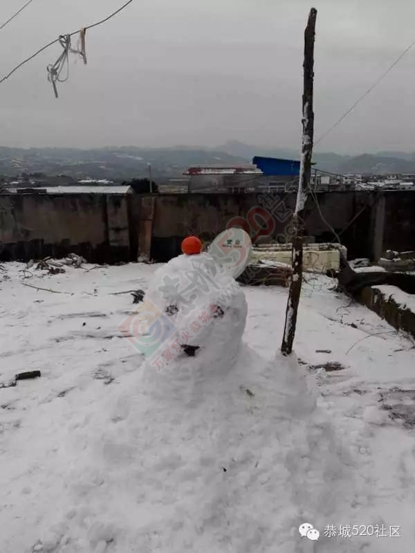 【雪景图集】恭城各地银装素裹，美得不要不要滴~~662 / 作者:深秋的落叶 / 帖子ID:162737