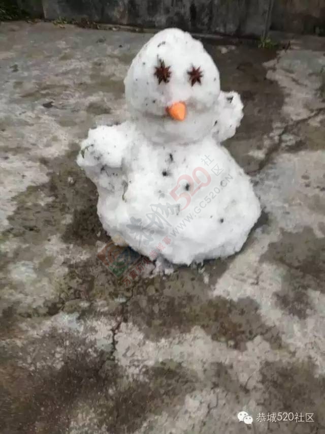 【雪景图集】恭城各地银装素裹，美得不要不要滴~~536 / 作者:深秋的落叶 / 帖子ID:162737