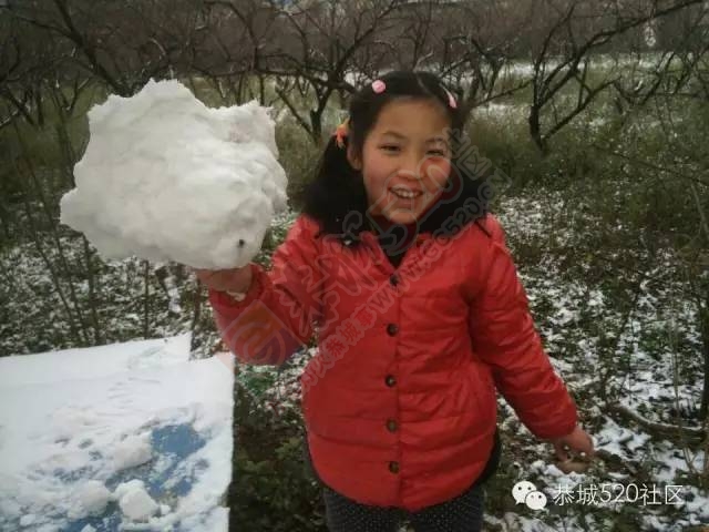 【雪景图集】恭城各地银装素裹，美得不要不要滴~~259 / 作者:深秋的落叶 / 帖子ID:162737