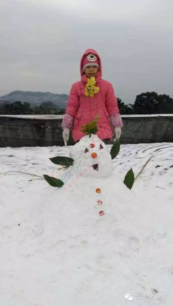 【雪景图集】恭城各地银装素裹，美得不要不要滴~~641 / 作者:深秋的落叶 / 帖子ID:162737