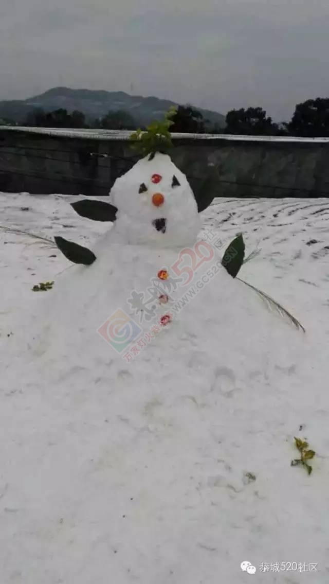 【雪景图集】恭城各地银装素裹，美得不要不要滴~~421 / 作者:深秋的落叶 / 帖子ID:162737