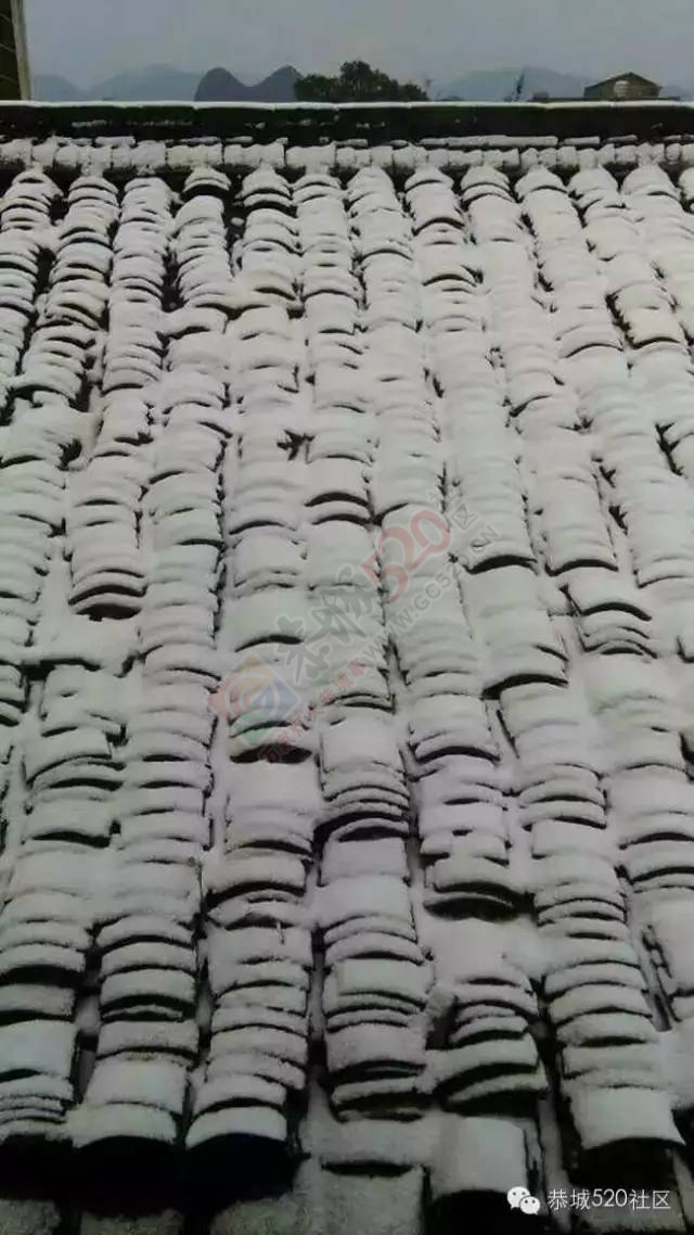 【雪景图集】恭城各地银装素裹，美得不要不要滴~~274 / 作者:深秋的落叶 / 帖子ID:162737