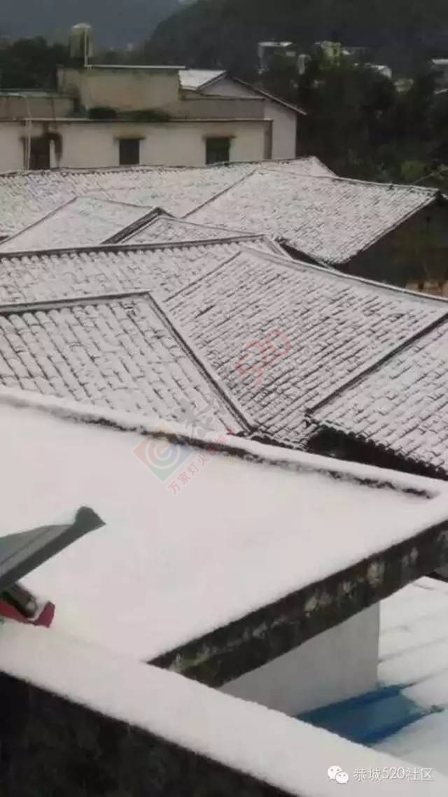 【雪景图集】恭城各地银装素裹，美得不要不要滴~~697 / 作者:深秋的落叶 / 帖子ID:162737