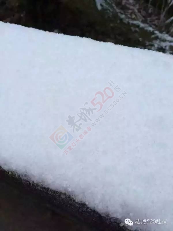 【雪景图集】恭城各地银装素裹，美得不要不要滴~~284 / 作者:深秋的落叶 / 帖子ID:162737