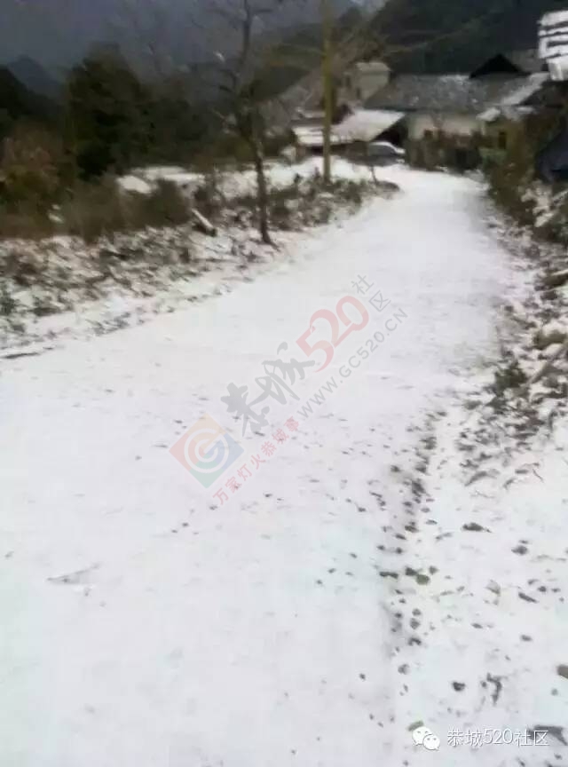 【雪景图集】恭城各地银装素裹，美得不要不要滴~~494 / 作者:深秋的落叶 / 帖子ID:162737