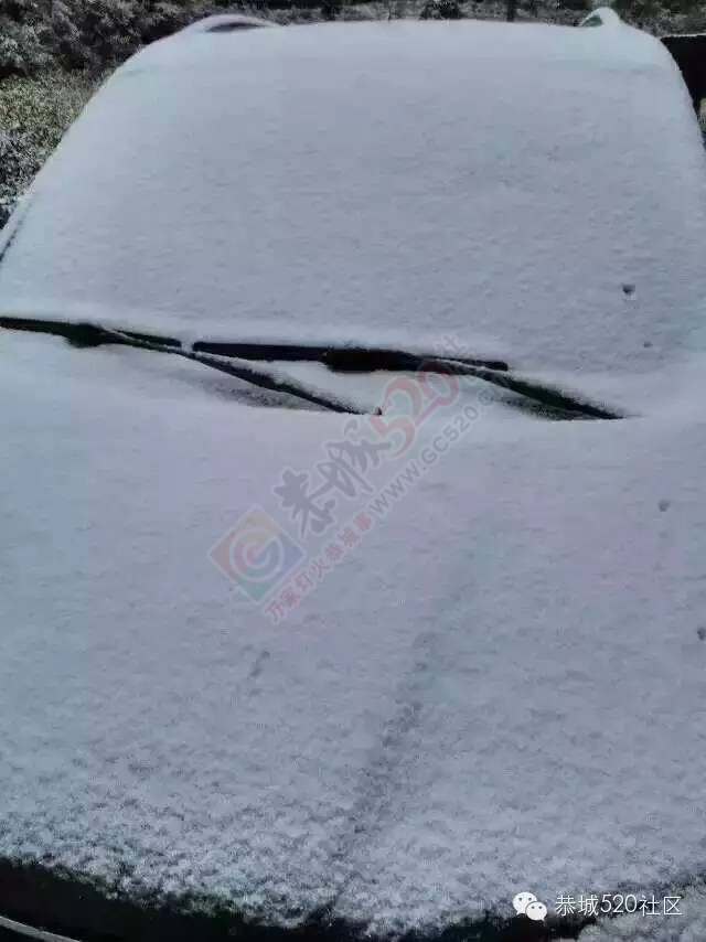 【雪景图集】恭城各地银装素裹，美得不要不要滴~~526 / 作者:深秋的落叶 / 帖子ID:162737