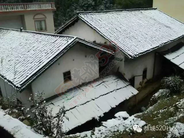 【雪景图集】恭城各地银装素裹，美得不要不要滴~~158 / 作者:深秋的落叶 / 帖子ID:162737