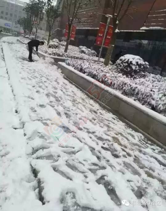 【雪景图集】恭城各地银装素裹，美得不要不要滴~~358 / 作者:深秋的落叶 / 帖子ID:162737