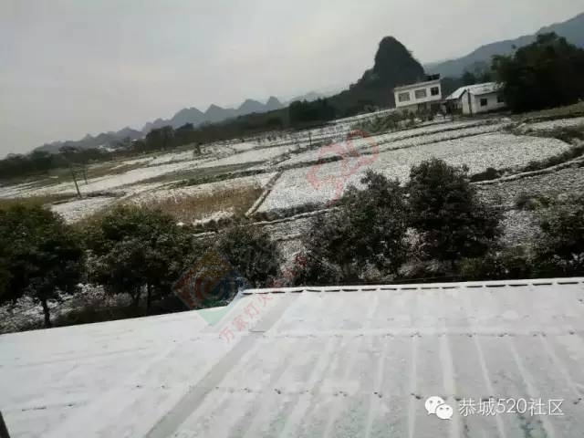 【雪景图集】恭城各地银装素裹，美得不要不要滴~~488 / 作者:深秋的落叶 / 帖子ID:162737