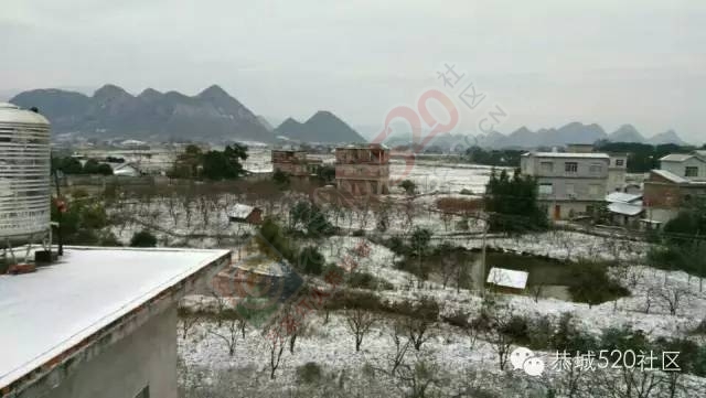 【雪景图集】恭城各地银装素裹，美得不要不要滴~~413 / 作者:深秋的落叶 / 帖子ID:162737