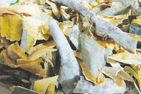 天天用热水泡脚，是养生？还是慢性自杀？看完惊呆了！44 / 作者:人艰不拆 / 帖子ID:162844
