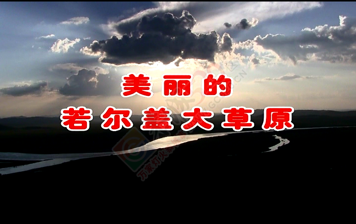 美丽的若尔盖大草原57 / 作者:时光倒流 / 帖子ID:162892