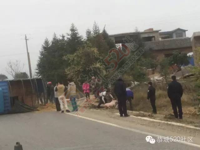 恭城嘉会至栗木路段发生车祸，满地“二师兄”。825 / 作者:深秋的落叶 / 帖子ID:162906