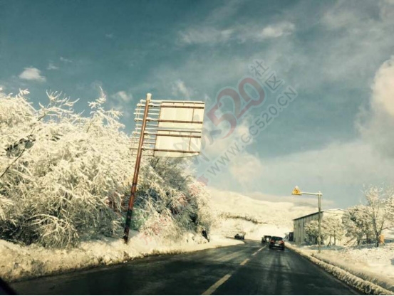 雪原上的欢乐--- 仙女山亲子耍雪全纪录【高清美图】785 / 作者:夏爱之梦 / 帖子ID:162966