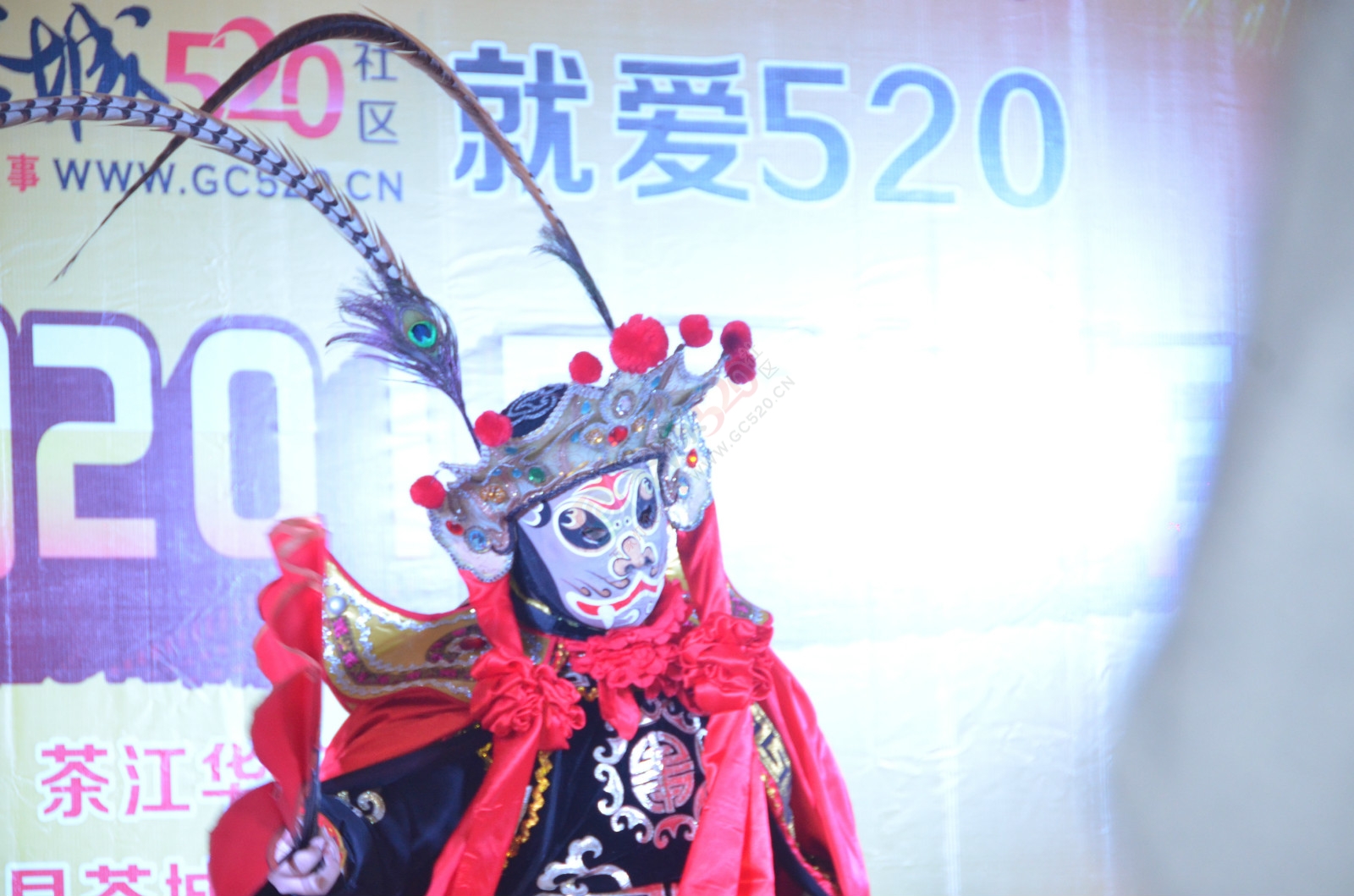 恭城520年会精彩现场（部分图片，明天继续更新）27 / 作者:520小编 / 帖子ID:163187