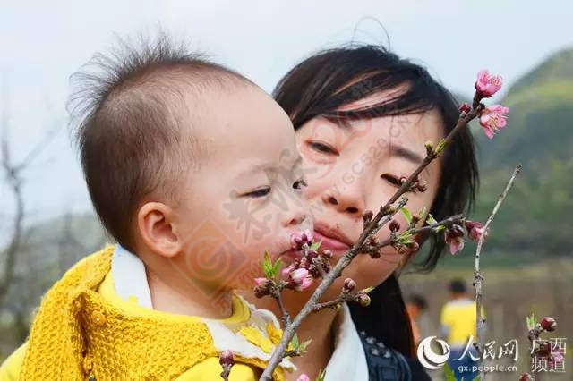 广西恭城瑶乡春花烂漫803 / 作者:脚踏实地 / 帖子ID:163567