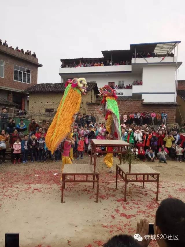 恭城”齐尹孟田“四大家族共聚天堂坪！77 / 作者:深秋的落叶 / 帖子ID:163572