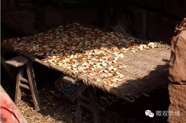 恭城农村留存的这些土墙瓦屋，承载着浓浓的乡愁记忆465 / 作者:脚踏实地 / 帖子ID:163642