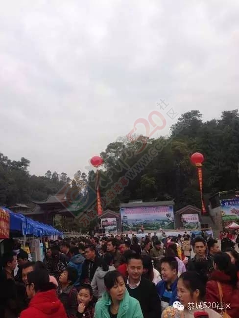 县文武广场举办农村劳动力转移招聘会54 / 作者:深秋的落叶 / 帖子ID:163708