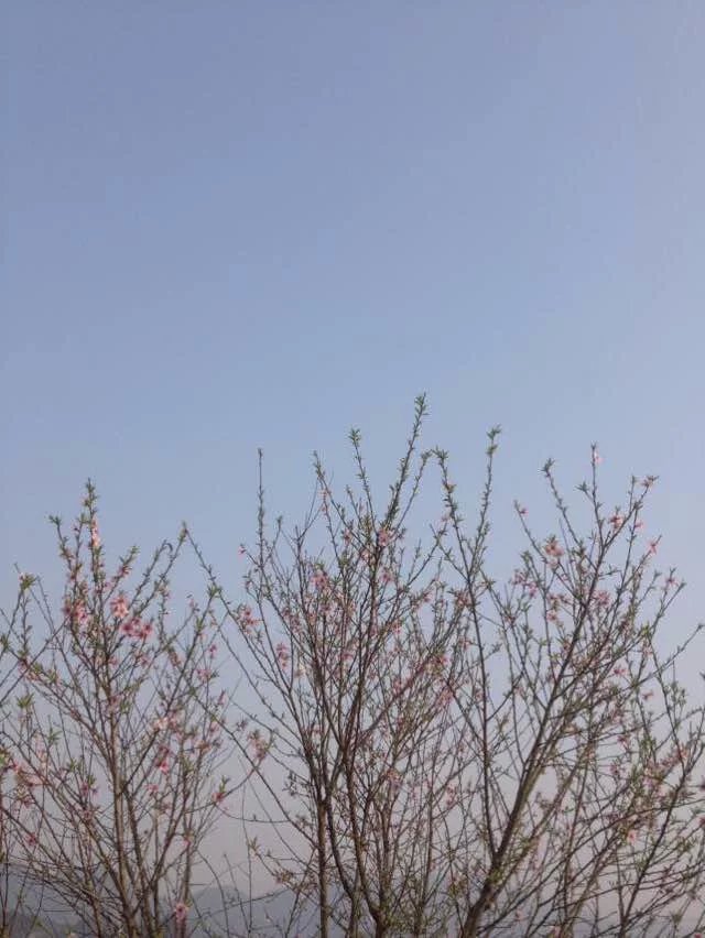 恭城红岩游记929 / 作者:千变万幻 / 帖子ID:163726