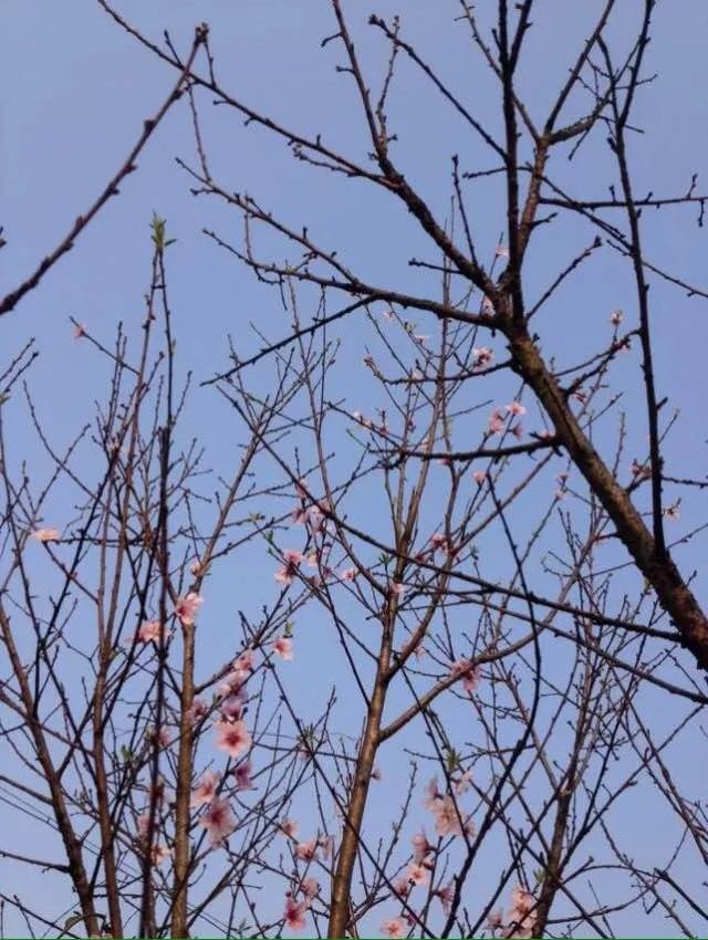 恭城红岩游记834 / 作者:千变万幻 / 帖子ID:163726