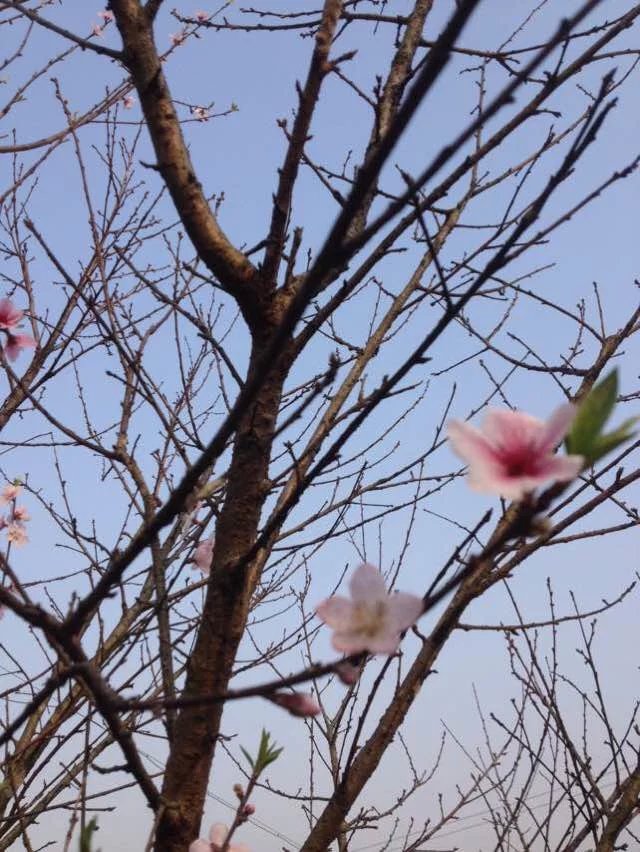 恭城红岩游记108 / 作者:千变万幻 / 帖子ID:163726