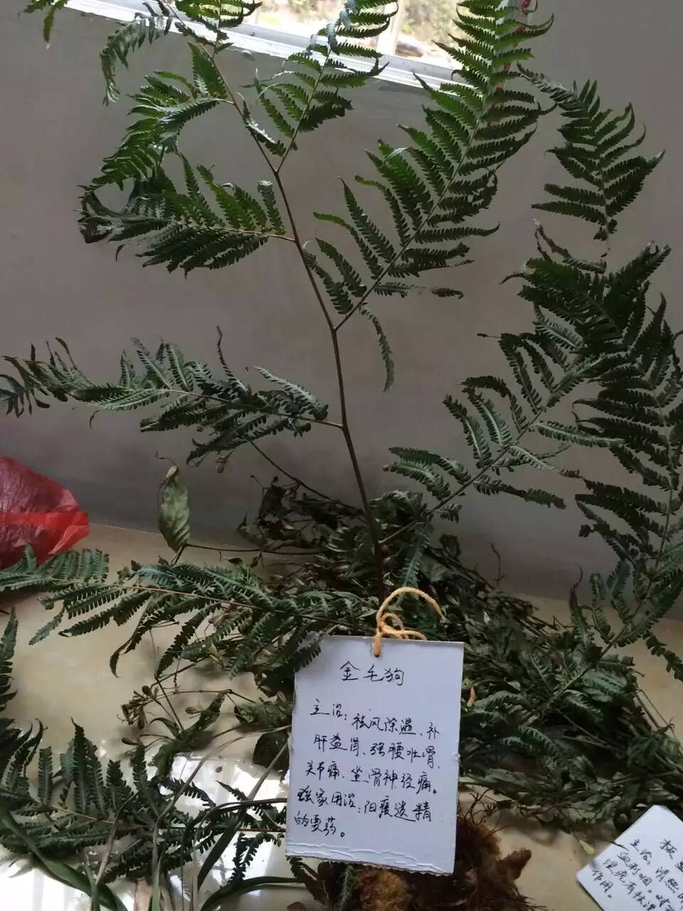 恭城瑶乡古物105 / 作者:千变万幻 / 帖子ID:163732