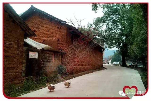 恭城志凯你来过满？82 / 作者:脚踏实地 / 帖子ID:163755