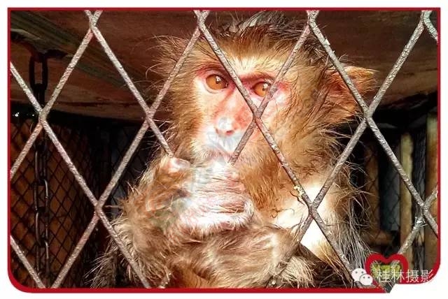 恭城志凯你来过满？588 / 作者:脚踏实地 / 帖子ID:163755