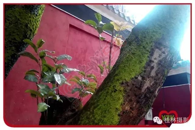 恭城志凯你来过满？606 / 作者:脚踏实地 / 帖子ID:163755